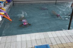 IMG_3980