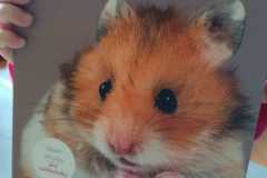 WhatsApp-Image-2026-03-11-at-15.56.43