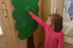 KODAK Digital Still Camera