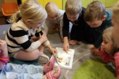 KODAK Digital Still Camera