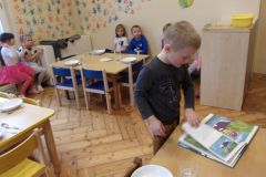 KODAK Digital Still Camera