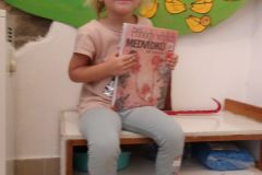 KODAK Digital Still Camera