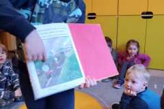 WhatsApp-Image-2026-02-10-at-19.37.20