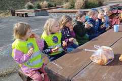 WhatsApp-Image-2026-03-11-at-15.56.233