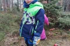 Obrazek-WhatsApp-2025-12-16-v-17.19.44_6bf820ca