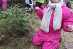 Obrazek-WhatsApp-2025-12-16-v-17.19.46_41d132d6