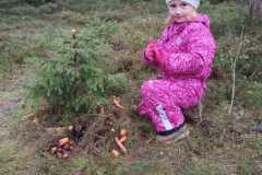 Obrazek-WhatsApp-2025-12-16-v-17.19.46_722ad23a