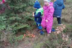 Obrazek-WhatsApp-2025-12-16-v-17.19.47_9151ecac