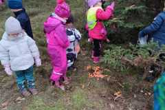 Obrazek-WhatsApp-2025-12-16-v-17.19.48_9799c8eb