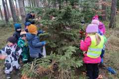 Obrazek-WhatsApp-2025-12-16-v-17.19.48_da9202a1