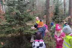 Obrazek-WhatsApp-2025-12-16-v-17.19.52_a9bab1f2