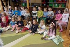 KODAK Digital Still Camera