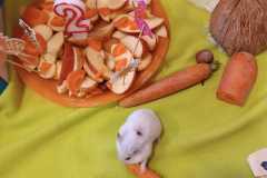 WhatsApp-Image-2026-02-20-at-15.47.11