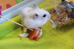 WhatsApp-Image-2026-02-20-at-15.47.12