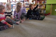 KODAK Digital Still Camera