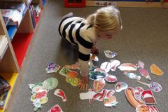 KODAK Digital Still Camera