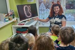 Návštěva veteriny Ovečky 