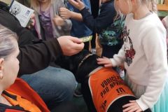 WhatsApp-Image-2026-02-10-at-19.37.10