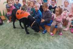 WhatsApp-Image-2026-02-10-at-19.37.12