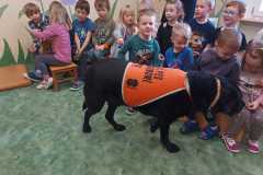 WhatsApp-Image-2026-02-10-at-19.37.14