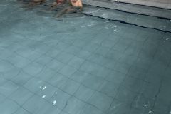 IMG_3742