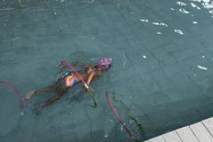 IMG_3747