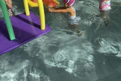 IMG_3473
