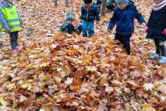 Obrazek-WhatsApp-2025-10-20-v-14.43.24_10476988