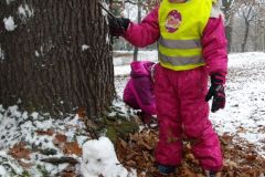 KODAK Digital Still Camera