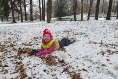 KODAK Digital Still Camera