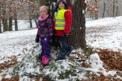 KODAK Digital Still Camera