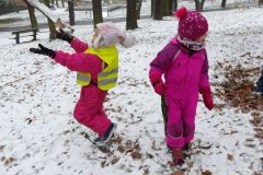 KODAK Digital Still Camera