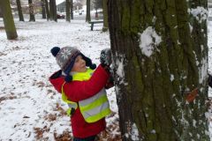 KODAK Digital Still Camera