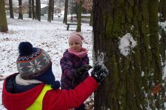 KODAK Digital Still Camera