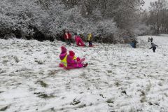 KODAK Digital Still Camera