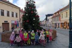 Obrazek-WhatsApp-2025-12-01-v-19.18.04_39f46855