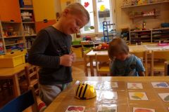 KODAK Digital Still Camera