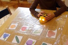 KODAK Digital Still Camera