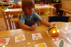 KODAK Digital Still Camera