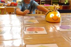 KODAK Digital Still Camera