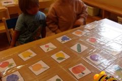 KODAK Digital Still Camera