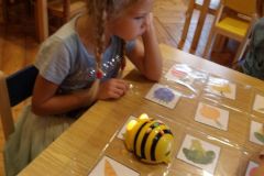 KODAK Digital Still Camera