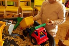 KODAK Digital Still Camera