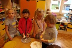 KODAK Digital Still Camera