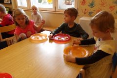 KODAK Digital Still Camera