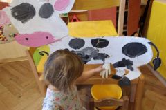 KODAK Digital Still Camera