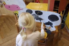 KODAK Digital Still Camera