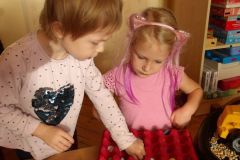 KODAK Digital Still Camera