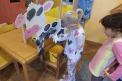 KODAK Digital Still Camera