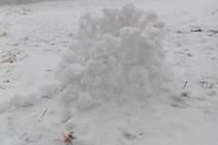 WhatsApp-Image-2026-01-30-at-18.29.21